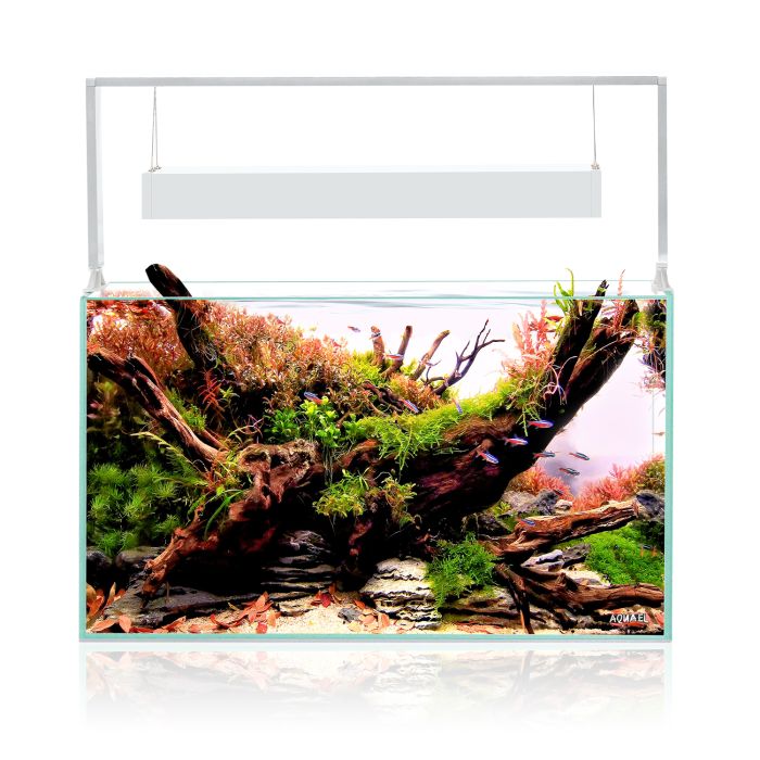Acuario Aquael Ultrascape Set 60 Snow
