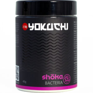 Bacterias Shoka
