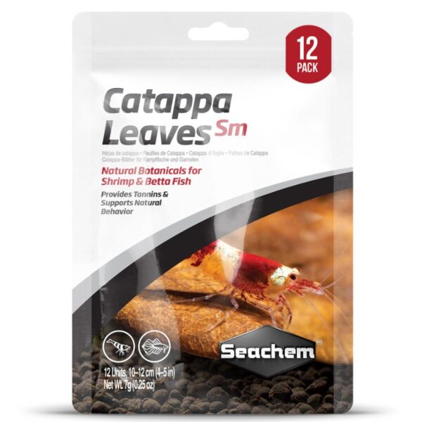 Seachem Hojas de Catappa Small