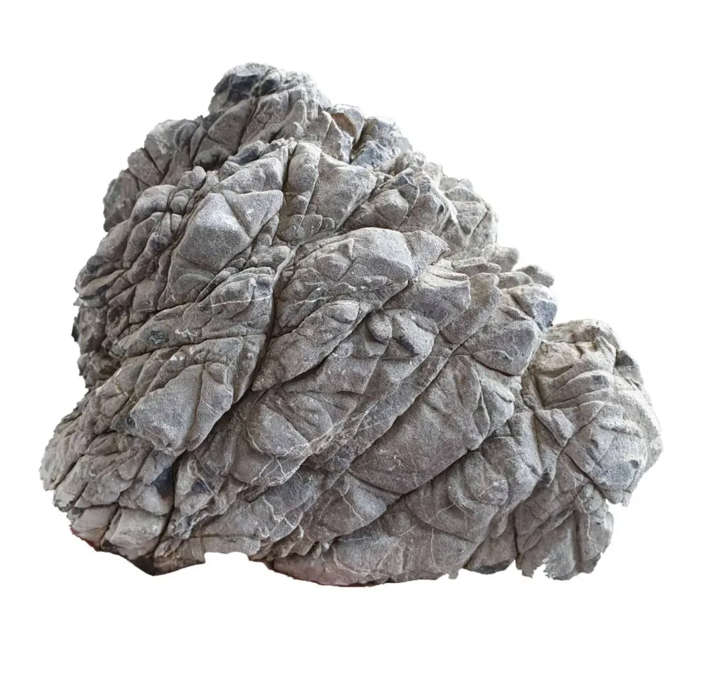 Oceania Stone 1kg