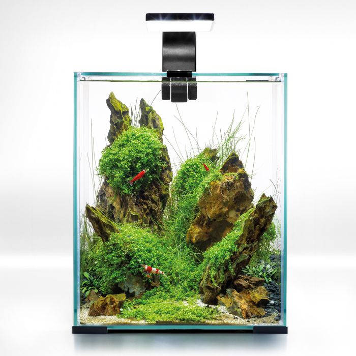 Aquael Shrimp Set Smart D&N 20 Negro - Imagen 2