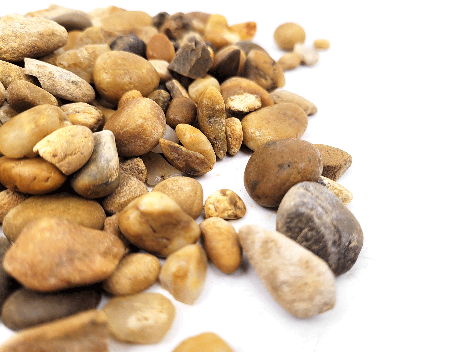 Bumblebee Gravel Mix 2Kg - Imagen 3