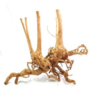 Rainforest Wood 1Kg