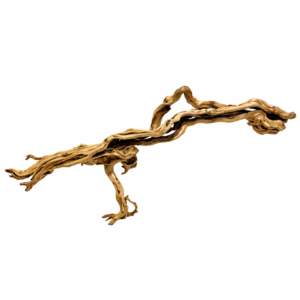 Ramas Snake Gold XL - 2XL 1Ud.