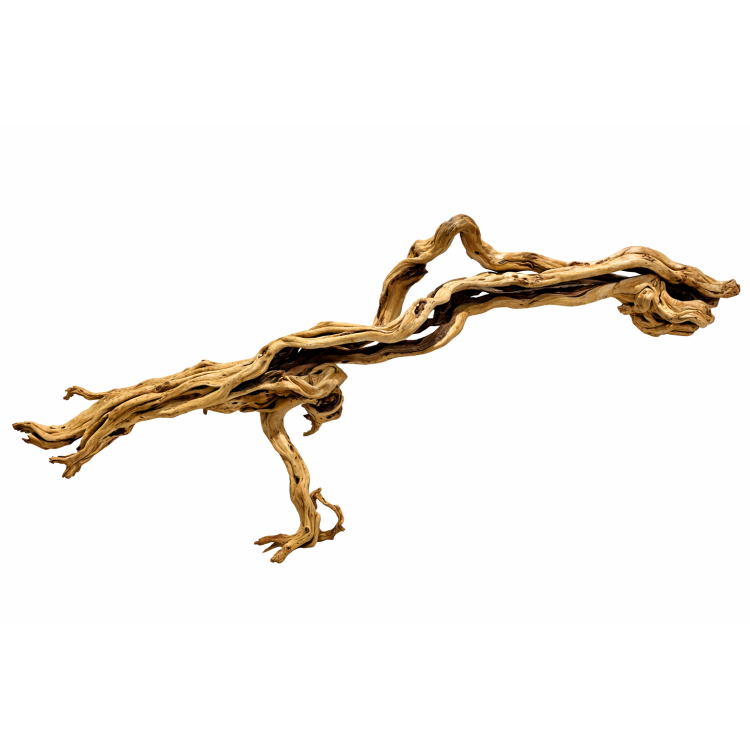 Ramas Snake Gold XL - 2XL 1Ud.