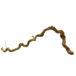Ramas Snake Gold M - L 1Ud.