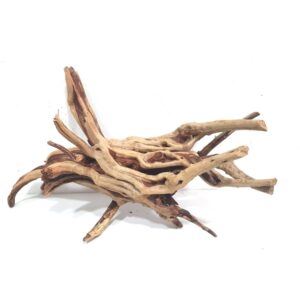 Spider Gold 1Kg
