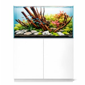Blau Set Gran Cubic Absolute AR Vision 122 Blanco