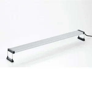 Chihiros Serie B