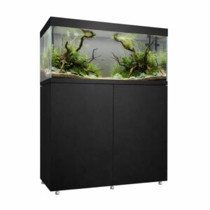 Kit completo Waterbox Eden X 105.4 Negro