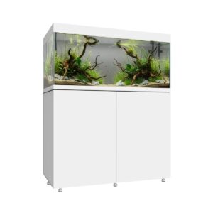 Kit completo Waterbox Eden X 105.4 Blanco