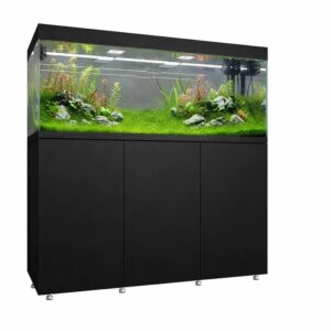 Kit completo Waterbox Eden X 145.5 Negro