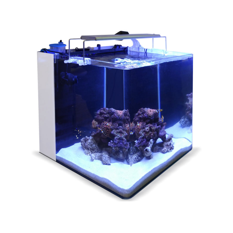 Blau All in One 80 Marine Blanco