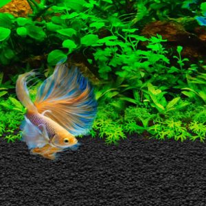 Fluval Betta Stratum, 800g